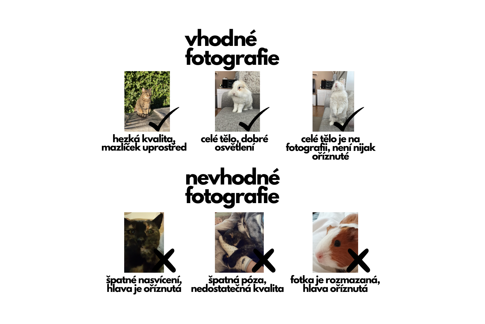 vhodné fotografie
